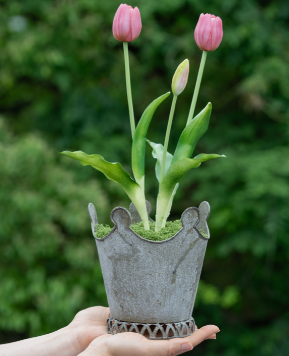 Crown Iron Planter - Garden Decor Flower Pot