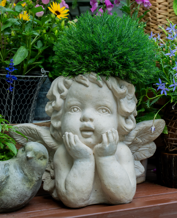 Angel Magnesium Oxide Flower Pot