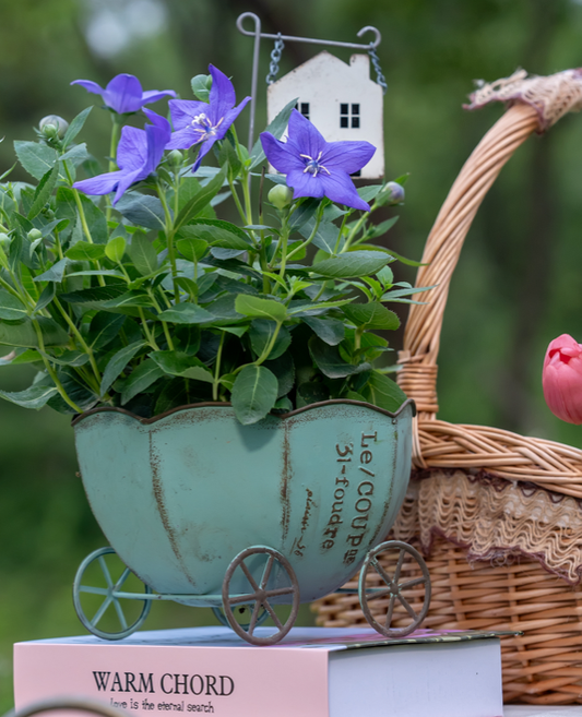 Pumpkin Cart Shaped Iron Planter - Garden Decor Flower Pot