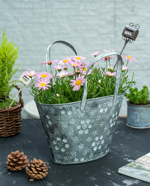 Floral Pattern Handheld Basket Wrought Iron Flower Pot