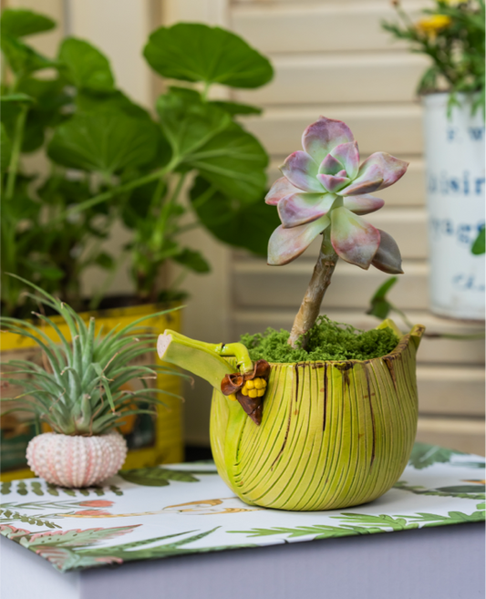 Handcrafted Ceramic Planter - Banana Leaf Design - Realistic and Adorable