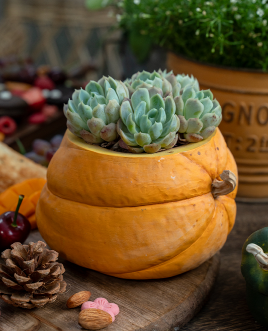 Handmade Ceramic Pumpkin Shaped Planter