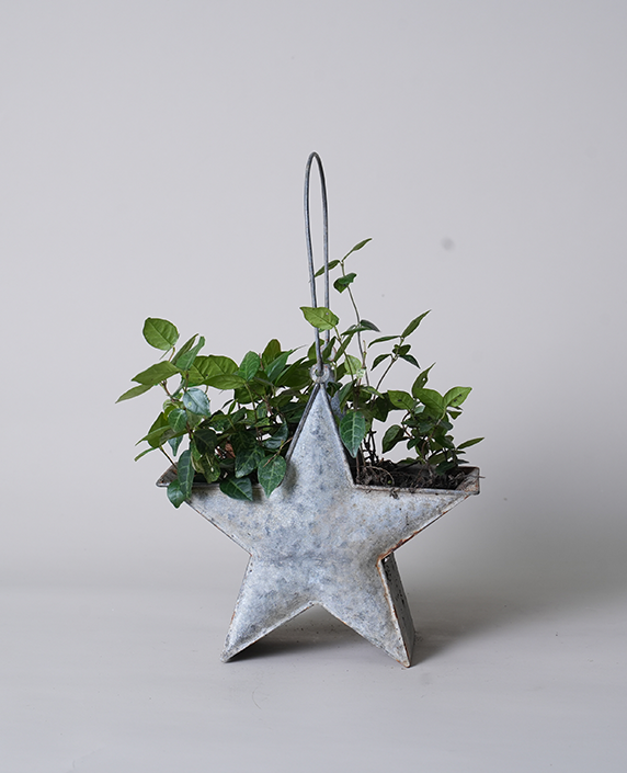 Rustic Country Style Distressed Five-point Star Tin Planter