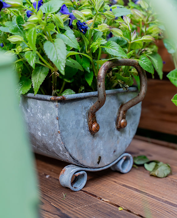 Double Handle Oval Retro Iron Garden Planter