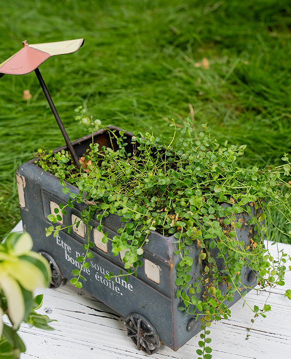 Country Style Vintage Distressed Bus Tin Planter