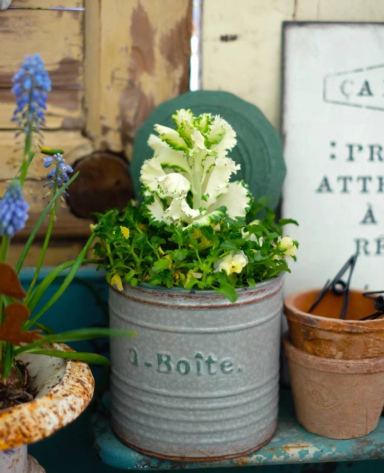 Pastoral Style Aged Round Lid Iron Can Flower Pot Set of 2