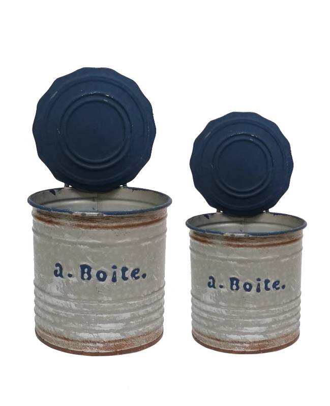 Pastoral Style Aged Round Lid Iron Can Flower Pot Set of 2