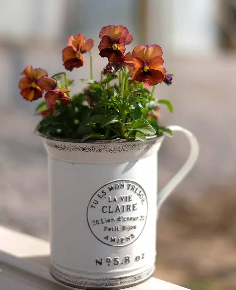 Vintage-Style Iron Cup Planter