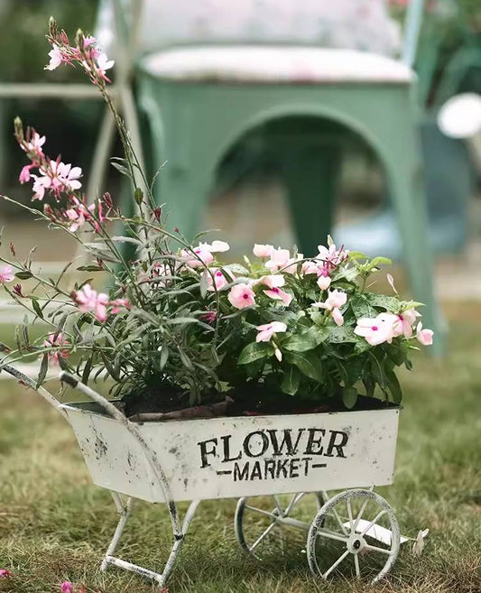 Garden Wheelbarrow Flower Pot Holder