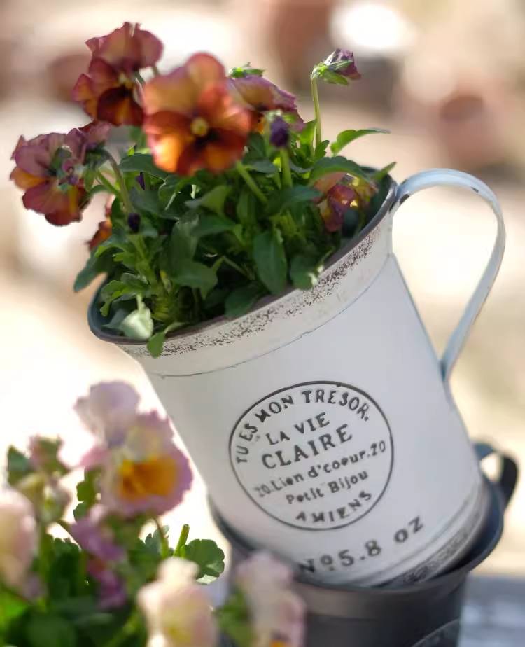 Vintage-Style Iron Cup Planter