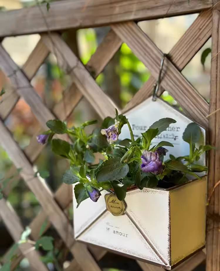 Pastoral Style Envelope Wall-mounted Iron Flower Pot