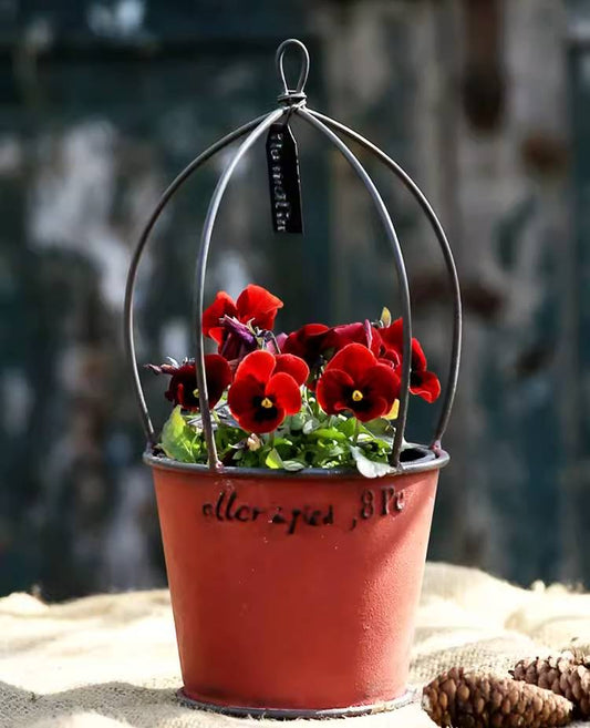 Rustic Creative Birdcage Iron Decorative Flower Pot